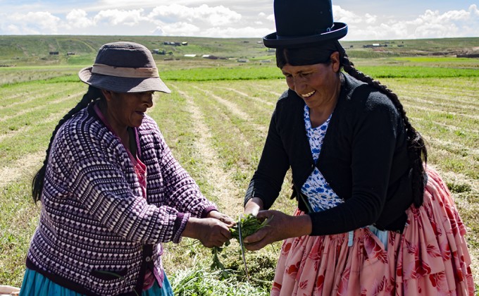 Expertise - D&eacute;veloppement local