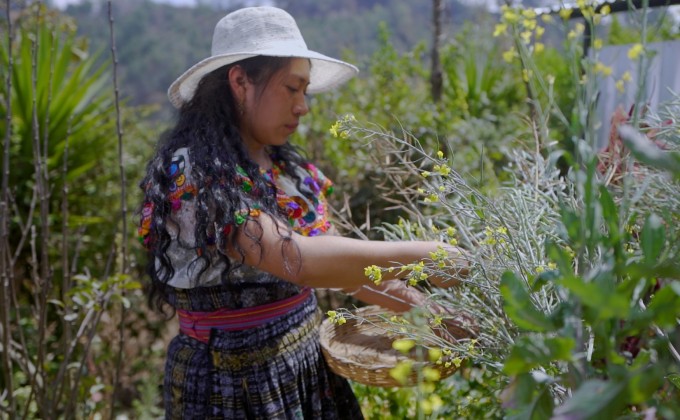 Nouveau Qu&eacute;bec sans fronti&egrave;res (NQSF)