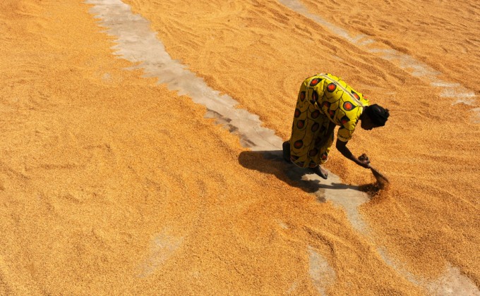 D&eacute;veloppement &eacute;conomique