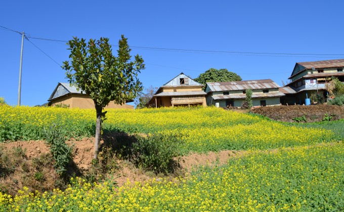 Informe anual del CECI Nepal 2019-2020 (en ingl&eacute;s)