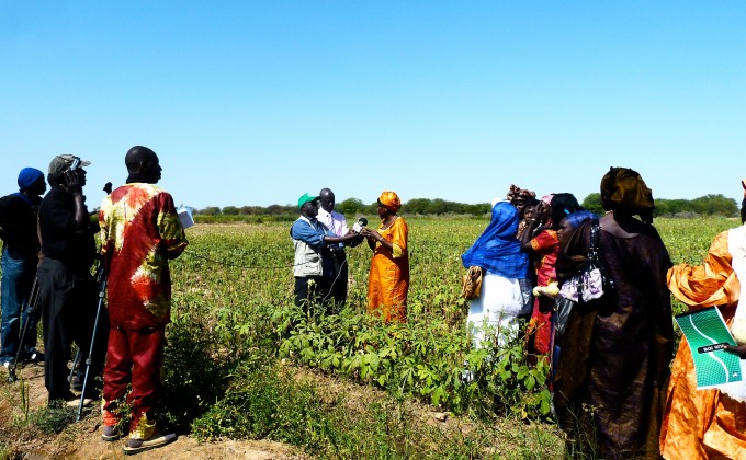 Portrait de volontaire: Fatou Seck, conseill&egrave;re en entrepreneuriat f&eacute;minin au S&eacute;n&eacute;gal 