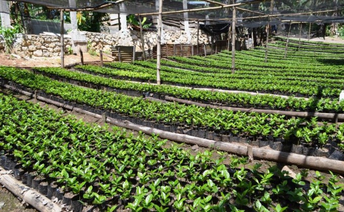  A delegation from the International Agricultural Alliance visiting the Northern Region of Haiti (in french only)