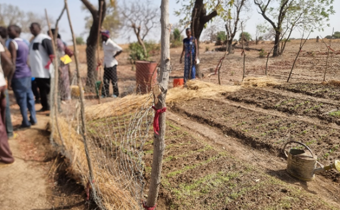 Nouveau Qu&eacute;bec sans fronti&egrave;res (NQSF)