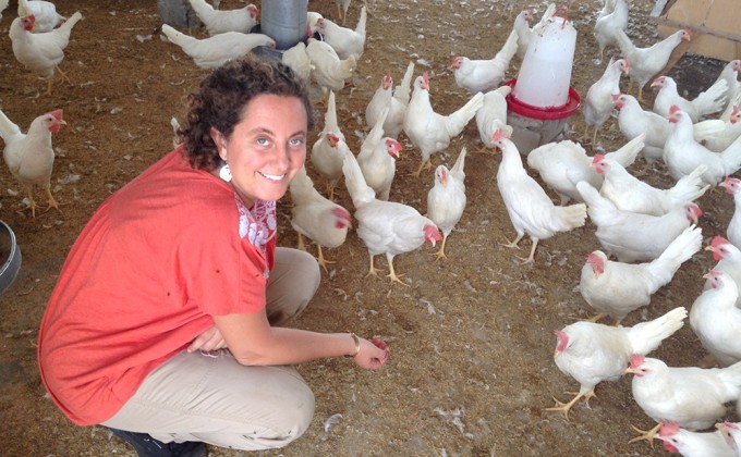 Expertise - Food Security